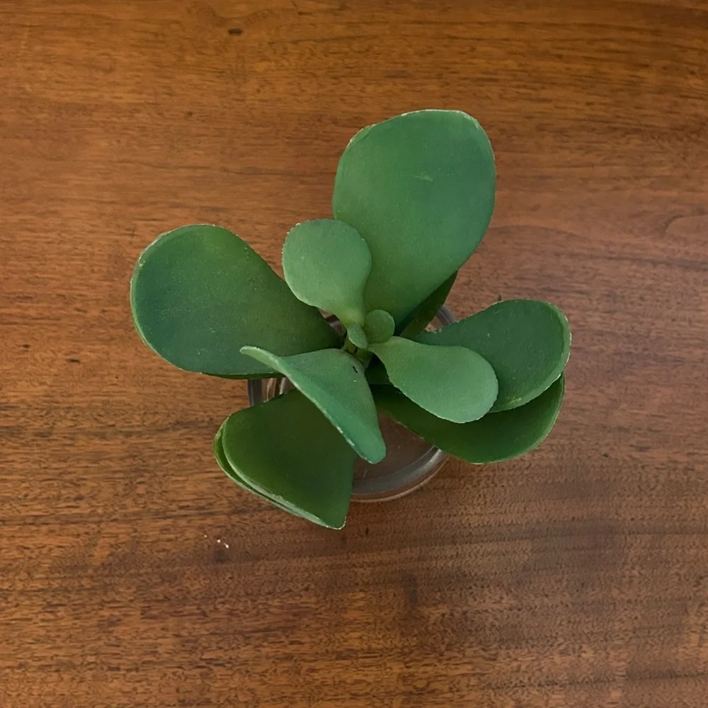 Green Artificial Plant in Clear Glass Vase